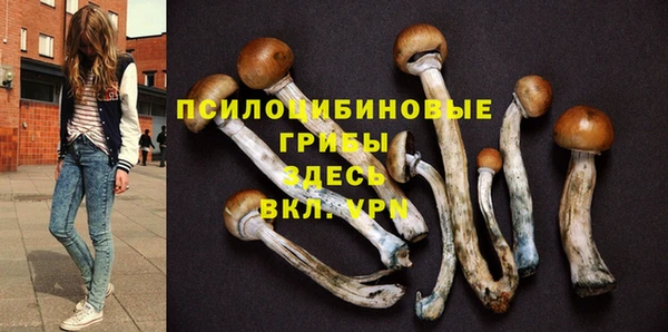 прущий лед Алексеевка